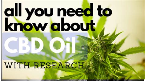 what does cbd oil do cannabidiol oils explained with research youtube