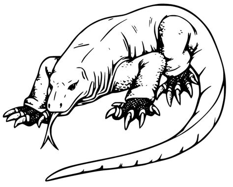 Realistic Komodo Dragon Coloring Page Free Printable Coloring Pages
