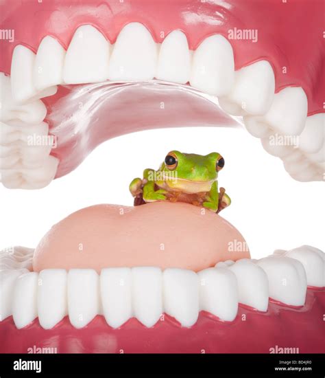 frog in my throat porn sex photos