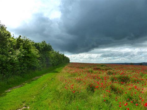 Free Images Landscape Coast Nature Grass Outdoor Horizon