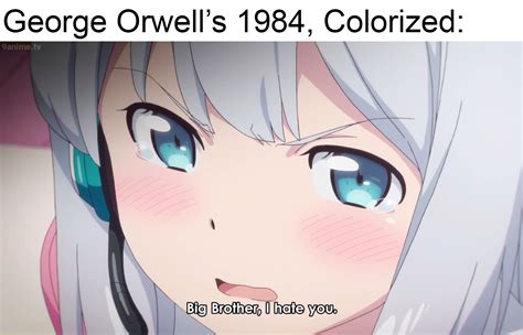 Big Brother Is Watching You Animemes