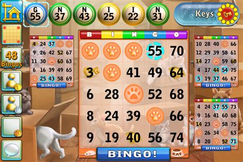 Play Bingo Cats Game Online Bingo Cats