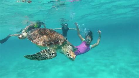 2012 Palawan Snorkelling With The Turtles Youtube