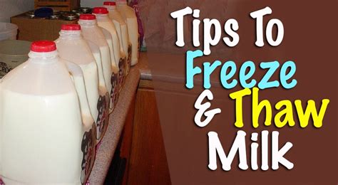 Freezing Milk And Thawing Milk How Long Can Frozen Milk Be Stored