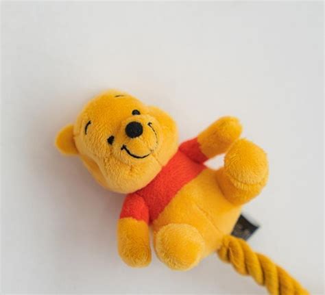 Pet Disney Winnie The Pooh Rope Dog Toy Pet Supplies Homes And Other