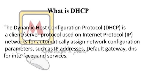 Dhcp Overview What Is Dhcp The Dynamic Host
