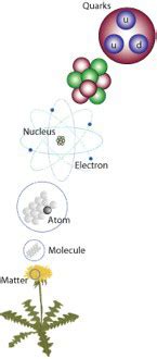 Everything around us is made up of matter, even further, everything around us is matter made up of atoms. LHCb - Large Hadron Collider beauty experiment