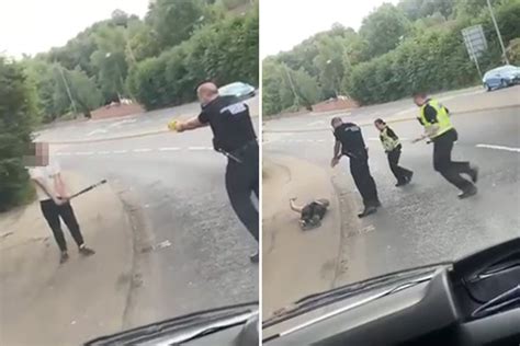 Dramatic Moment Man Wielding Baseball Bat Is Tasered By Cops After
