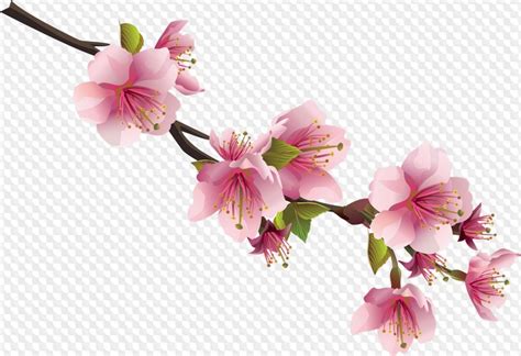 Set Flowers PNG, 25 images, download