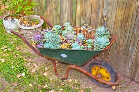 25 Wheelbarrow Planter Ideas For Your Garden Garden Lovers Club