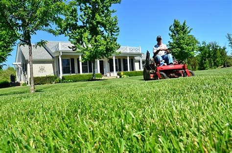 How To Prepare Your Best Lawn To Pass The Cold Winter