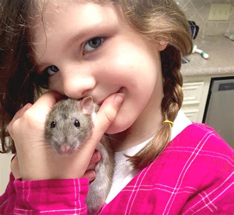Rats as Pets - Are Rats a Good Pet for Kids? - Clumsy Crafter