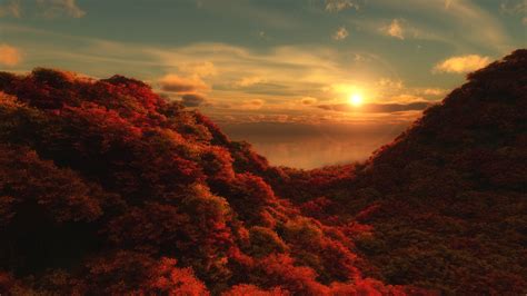 Wallpaper Sunlight Landscape Forest Fall Sunset Hill Nature