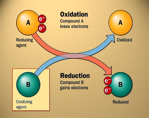 What is an electrochemical gradient? CAMIX | Reduction Oxidation Water Wastewater Treatment ...