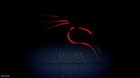 Kali Linux 4k Wallpapers Top Free Kali Linux 4k Backgrounds