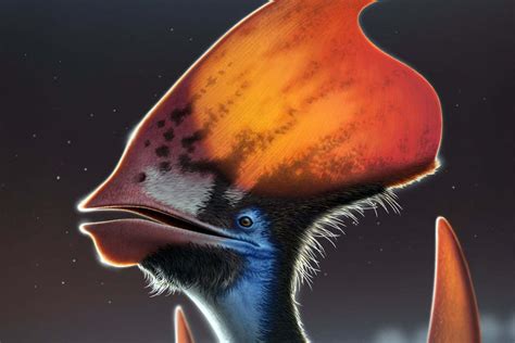 Pterosaur Fossil Suggests Feathers May Have Evolved Long Before Flight New Scientist