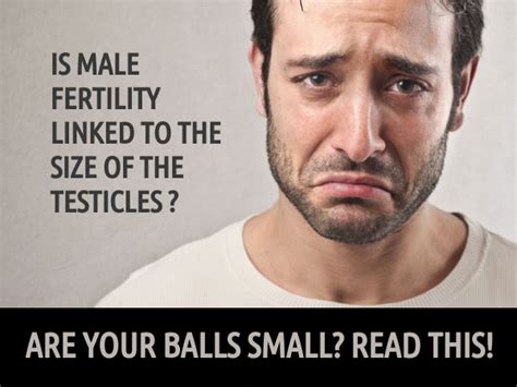 Is Male Fertility Linked To The Size Of Your Testicles Boldsky Com