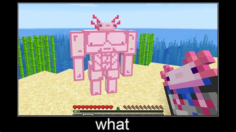 Minecraft Wait What Meme Part 11 Axolotl Mutant Youtube