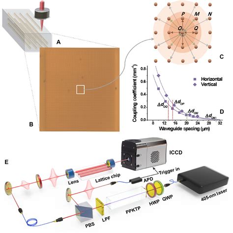 Experimental Two Dimensional Quantum Walk On A Photonic Chip Science