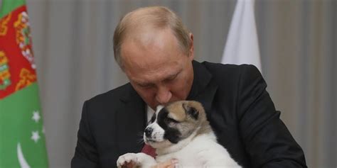 Vladimir Putin Gets Puppy For Birthday From Turkmenistans President