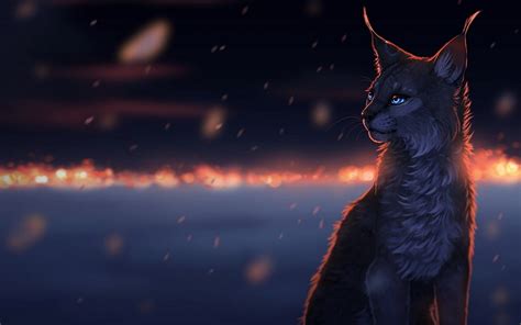 Warrior Cats Wallpapers 73 Background Pictures