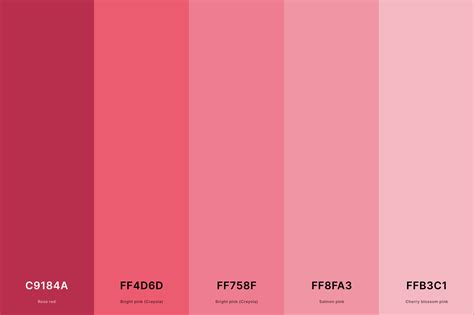 25 Best Pink Color Palettes With Names And Hex Codes Creativebooster