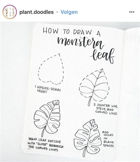 Pin By Paula Fernandez On Handlettering Flower Drawing Tutorials