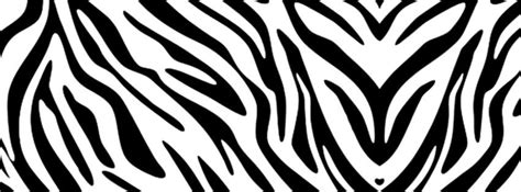 Zebra Banners For Facebook Cover Design Hq