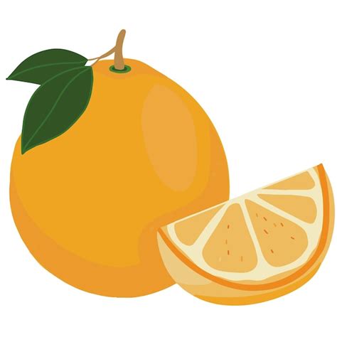 Ilustración De Vector De Fruta Naranja Vector Premium