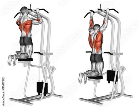 Machine Assisted Pull Up Exercising For Bodybuilding Target Muscles