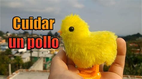 Cómo Cuidar A Tu Pollito🐥 Pollitos De Colores Youtube