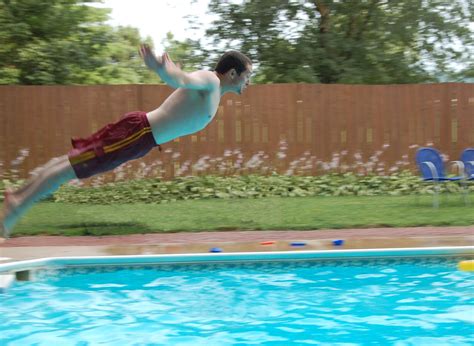 Swan Dive Free Stock Photo | FreeImages