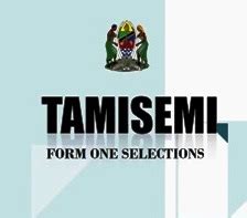 How to check form one selection via sms. TAMISEMI:Form one Selection 2020 All Regions | EXPRESSTZ.COM