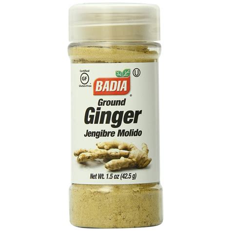 Badia Ground Ginger 15oz Gtplaza Inc