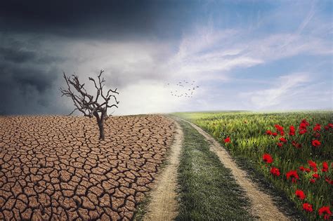 Drought Famine And Hunger Are Coming Pixabay The Washington Standard