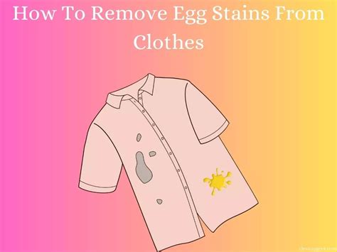 How To Remove Egg Stains From Clothes Cleanup Geek