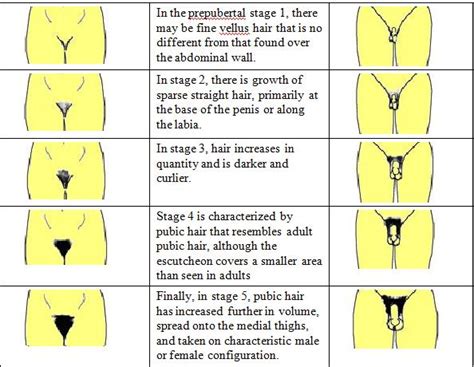 Female Rating Scale Page Clublexus Hot Sex Picture