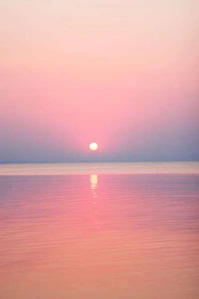 Pink Beach Stock Photos Royalty Free Pink Beach Images Depositphotos