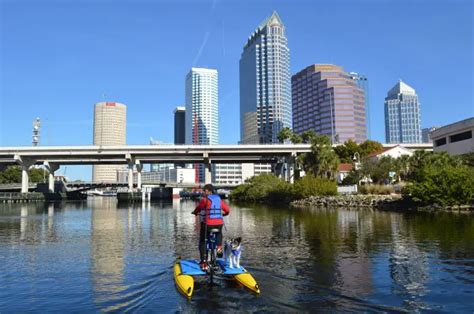 New Downtown Tampa Riverwalk Outdoor Activity