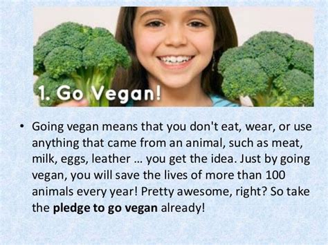 Save Animals 2
