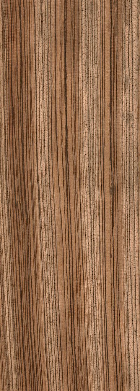 Zebrawood The Wood Database Lumber Identification Hardwood