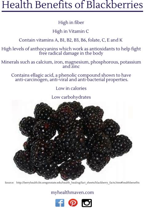 Health Benefits Of Blackberries My Health Maven