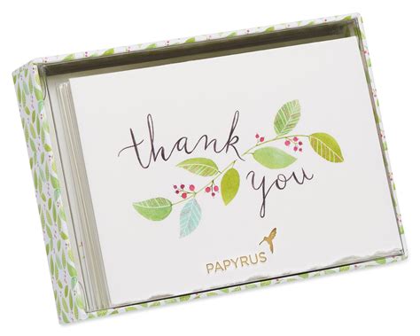 Floral Vine Boxed Thank You Cards And Envelopes 8 Count Papyrus