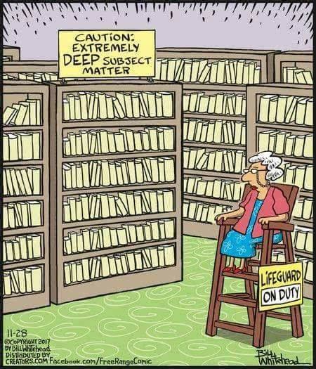 Pin By Rechan On Bookish Library Humor Library Memes Librarian Humor