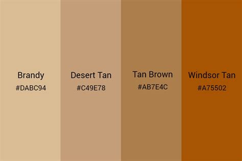 Tan Color Palette Color Schemes Colour Palettes Brown Color Schemes