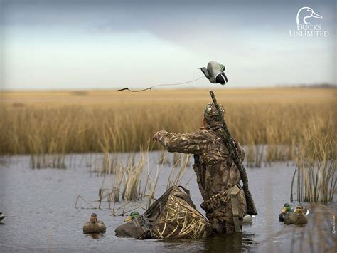 Duck Hunting Wallpapers Wallpaper Cave