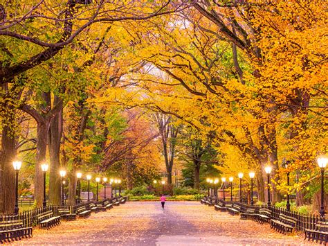 Fall Colors 2019 Where To See Fall Foliage In New York City Curbed Ny