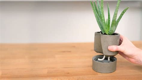 20 Diy Self Watering Planters That You Can Craft Today