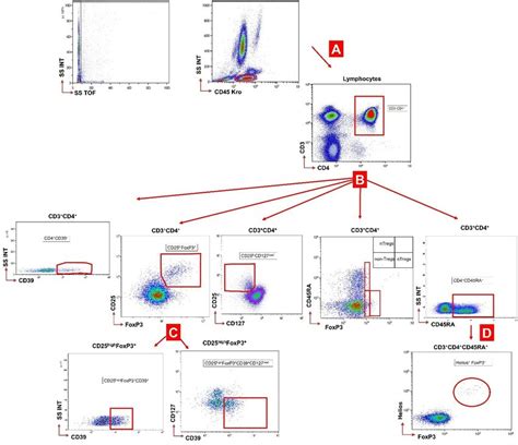 Fig Flow Cytometry Gating Strategy For Analysis Of Treg Subsets