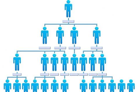 Startup Organizational Structure Which Is Better Horizontal Or